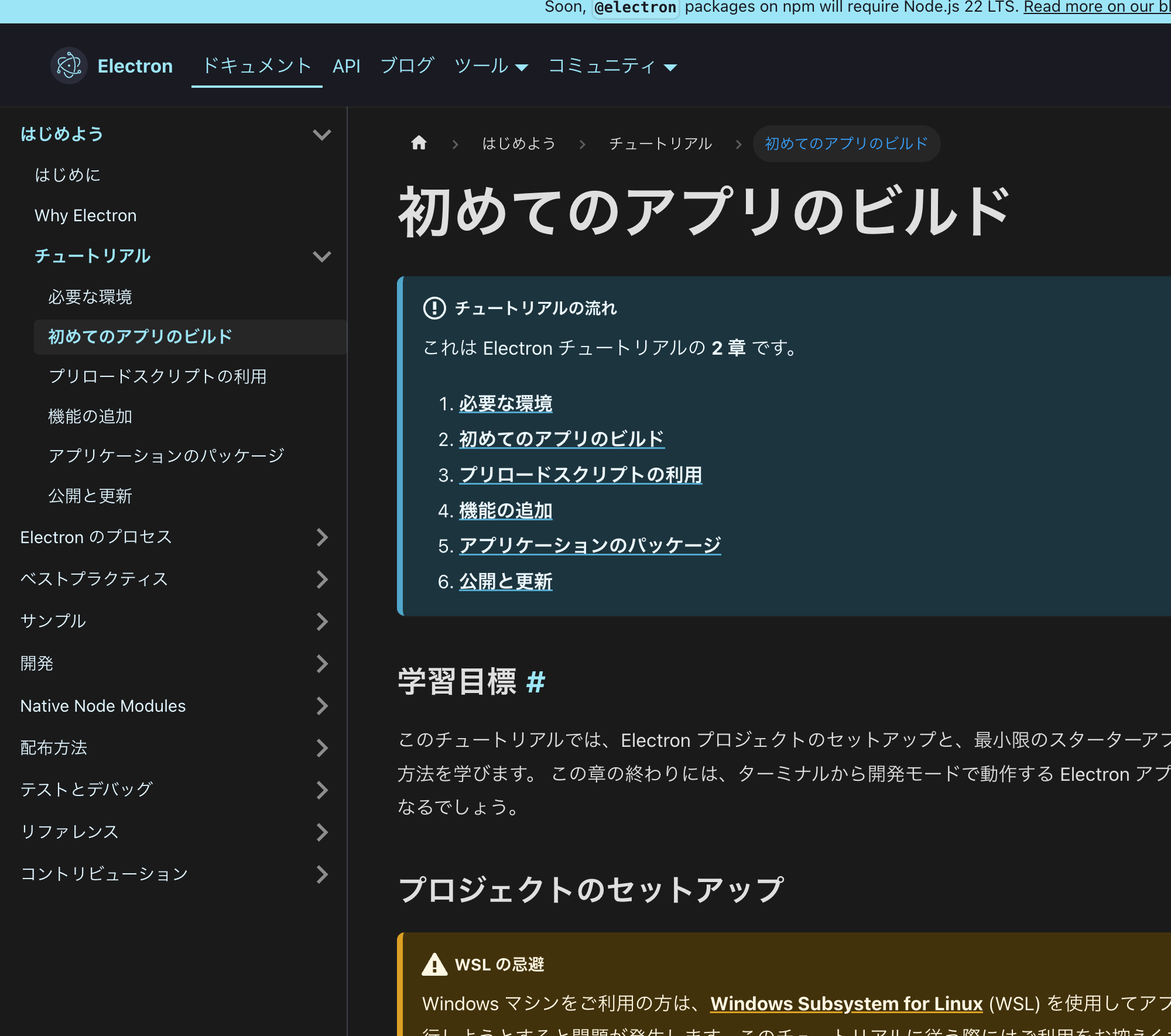 Electron pnpm を使うと起動できない問題